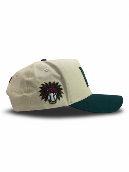 MEXICO BASEBALL TEAM